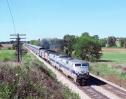 11 Amtrak GE P40DCs with Trains