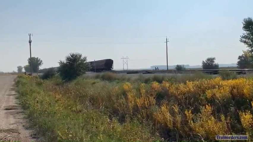 Loaded unit grain shuttle train w/ trailing CSX past Grand Forks.